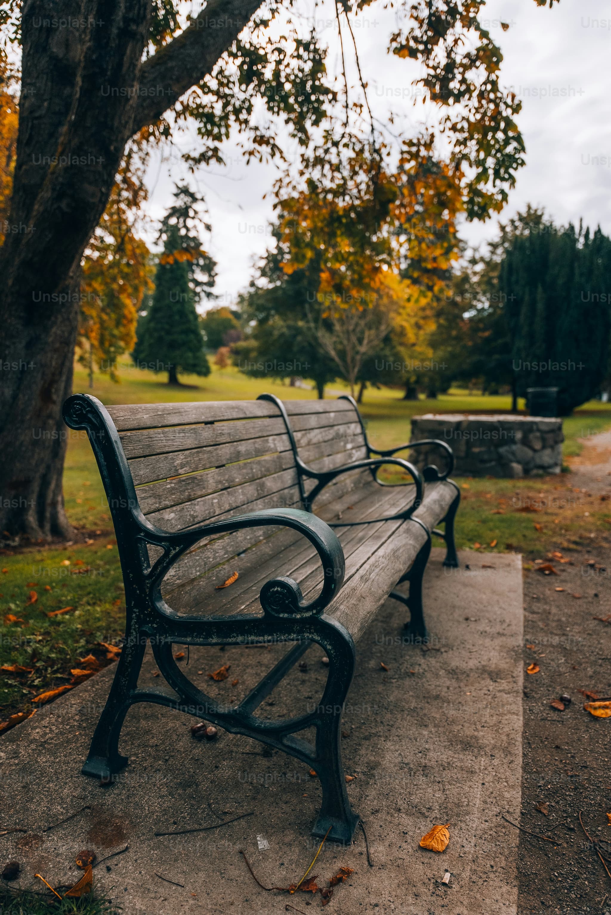 Parking Bench